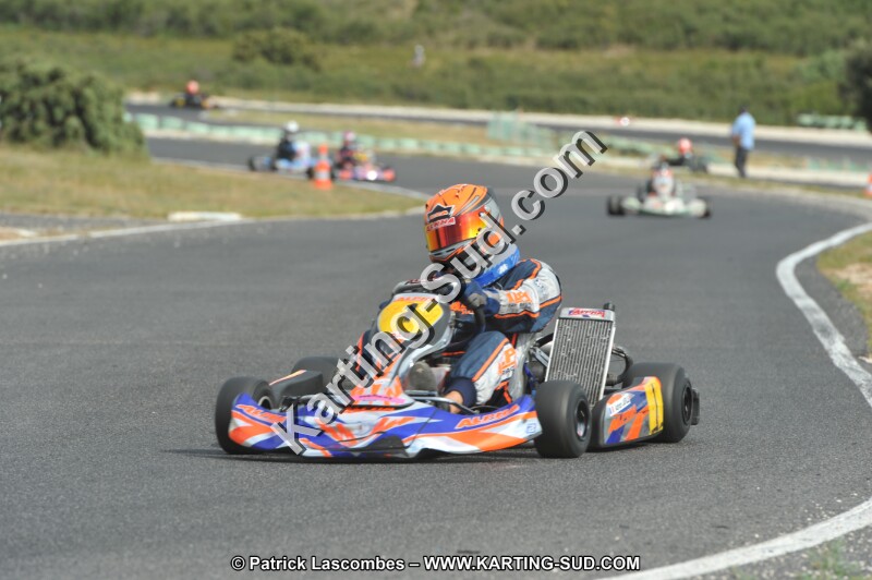 DSC (3682).JPG